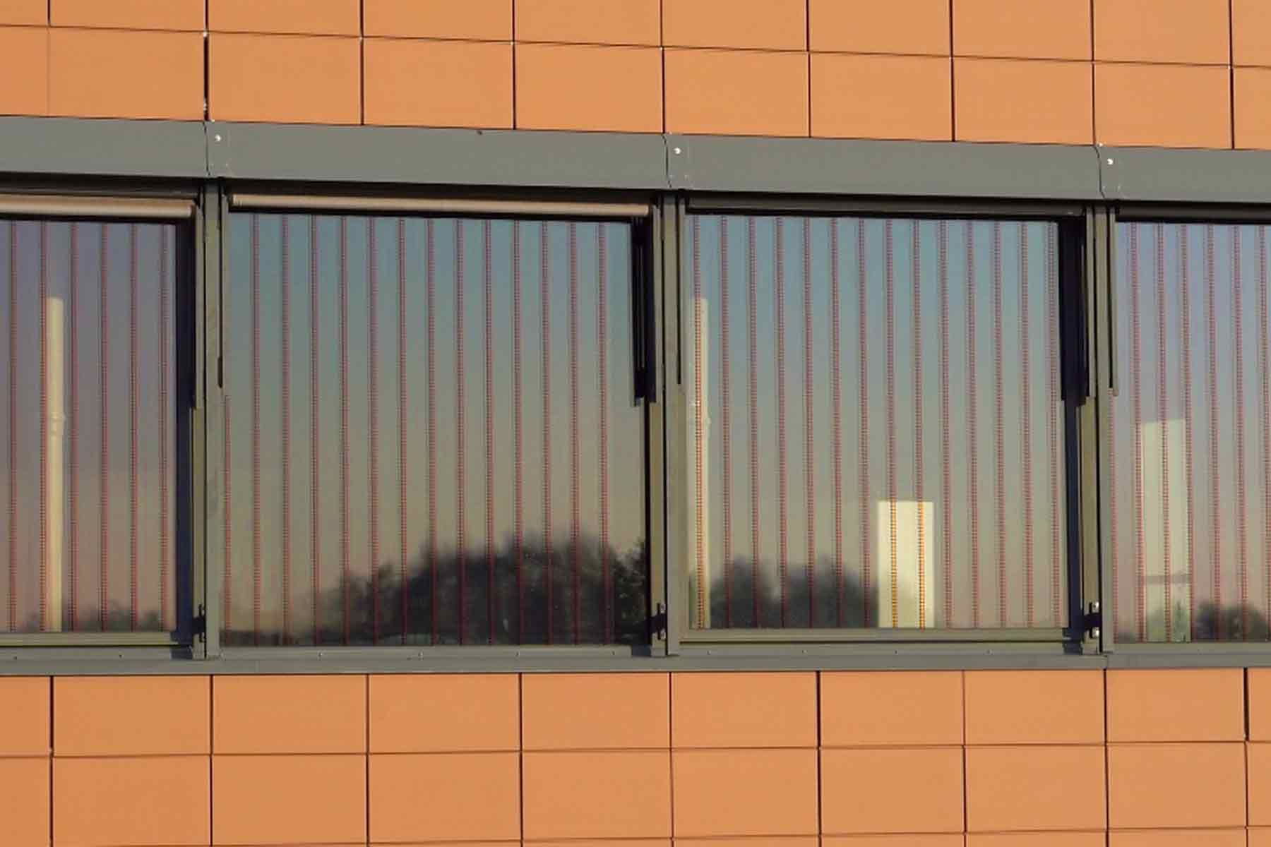 Fenster mit Vogelschutzfolie im Abendlicht